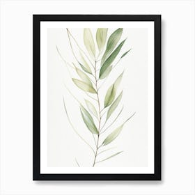 White Willow Leaf Minimalist Watercolour 1 Art Print