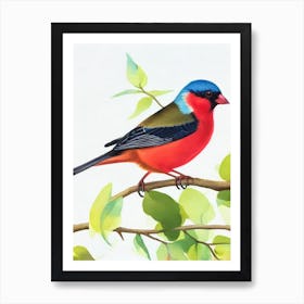 Finch 2 Watercolour Bird Art Print