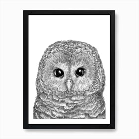 Tiny Owl Art Print