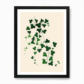 Ivy Plant Minimalist Illustration 7 Art Print