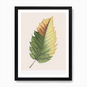 Ash Leaf Warm Warm Tones 2 Art Print