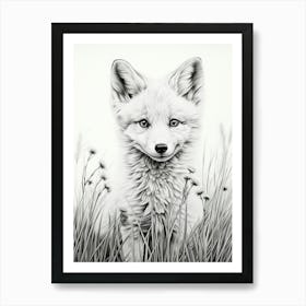 Arctic Fox In A Field Pencil Drawing 3 Art Print