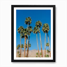 Palm Springs Palms 4 Art Print