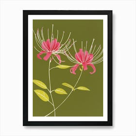 Pink & Green Peacock Flower 1 Art Print