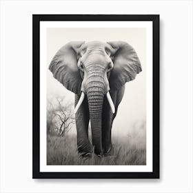 African Elephant Realism Portrait 5 Art Print