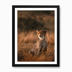 Cheetah Art Print