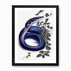 Indigo Snake 1 Vintage Art Print