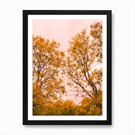 Autumn trees Art Print