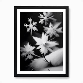 Delicate, Snowflakes, Black & White 1 Art Print