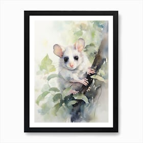 Light Watercolor Painting Of A Western Pygmy Possum 1 Art Print