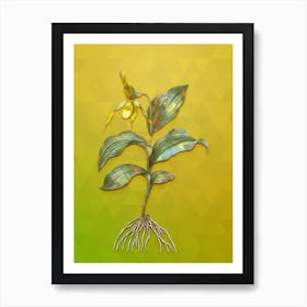 Vintage Yellow Lady's Slipper Orchid Botanical Art on Empire Yellow n.0690 Art Print