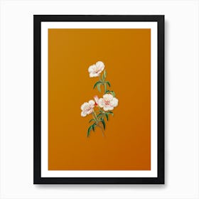 Vintage Wine Stained Godetia Flower Botanical on Sunset Orange n.0183 Art Print