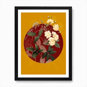 Vintage Botanical Lady Banks' rose Rosier de bancks on Circle Red on Yellow n.0182 Art Print