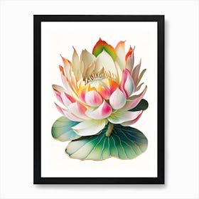 Amur Lotus Decoupage 4 Art Print