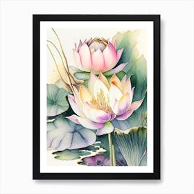 Lotus Flowers In Park Watercolour Ink Pencil 4 Art Print