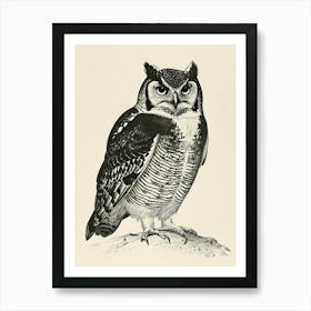 Northern Hawk Owl Vintage Illustration 3 Art Print