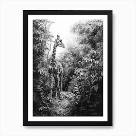 Pencil Portrait Of Giraffe In The Leaves 2 Art Print