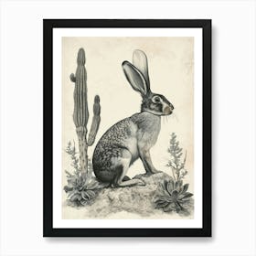 Florida White Rabbit Drawing 1 Art Print