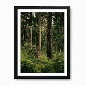 Green Forest Art Print