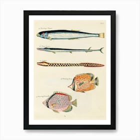 Colourful And Surreal Illustrations Of Fishes Found In Moluccas (Indonesia) And The East Indies, Louis Renard(50) Art Print