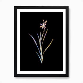 Stained Glass Ixia Anemonae Flora Mosaic Botanical Illustration on Black Art Print