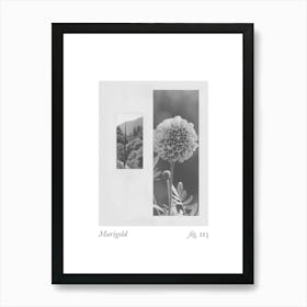 Marigold Botanical Collage 3 Art Print