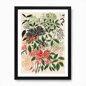 Elderberry Fruit Drawing 2 Art Print