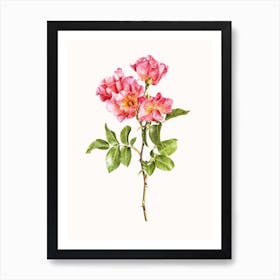 Roses II Art Print