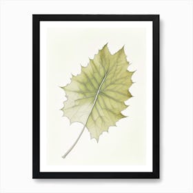Sycamore Leaf Art Print