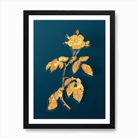 Vintage Big Leaved Climbing Rose Botanical in Gold on Teal Blue Art Print