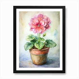 Pink Geraniums Art Print