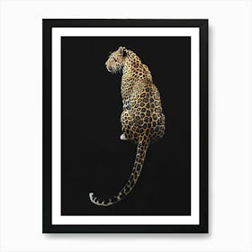 Leopard, Dark and Moody Aesthetic, Jaguar, Cheetah, Animal, Wild Cat Art Print