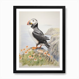 Vintage Bird Drawing Pigeon 6 Art Print