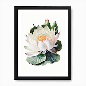 White Lotus Decoupage 4 Art Print