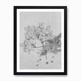 Monochrome Hydrangea Art Print