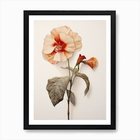 Pressed Flower Botanical Art Impatiens Art Print