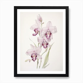 Orchids Flower Vintage Botanical 2 Art Print