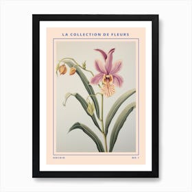 Orchid French Flower Botanical Poster Art Print