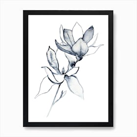 Magnolia 32 Art Print