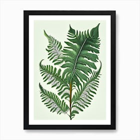 Japanese Tassel Fern Vintage Botanical Poster Art Print