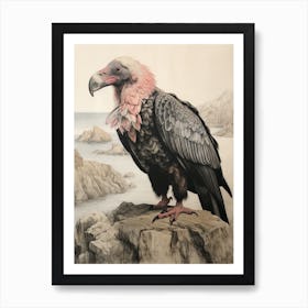 Vintage Bird Drawing California Condor 2 Art Print