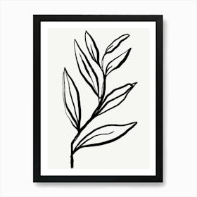 Black And White Drawing Of A Leaf Art Print