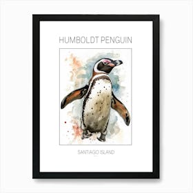 Humboldt Penguin Santiago Island Watercolour Painting 4 Poster Art Print