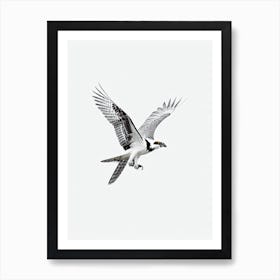 Osprey B&W Pencil Drawing 5 Bird Art Print