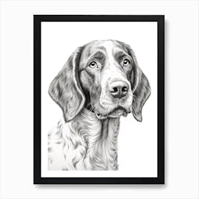 Pointer Dog, Line Drawing 1 Art Print