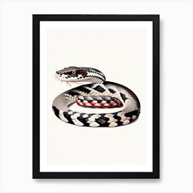 California Kingsnake 1 Vintage Art Print