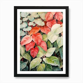 Tropical Plant Painting Fittonia White Anne Art Print