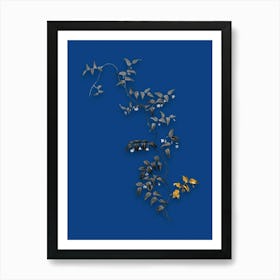 Vintage Bridal Creeper Black and White Gold Leaf Floral Art on Midnight Blue n.0284 Art Print