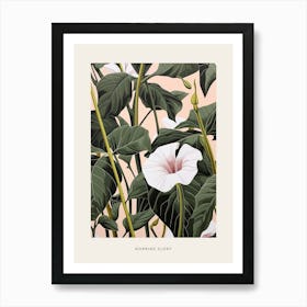 Flower Illustration Morning Glory 3 Poster Art Print