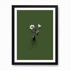 Vintage Cape Tulip Black and White Gold Leaf Floral Art on Olive Green n.0525 Art Print